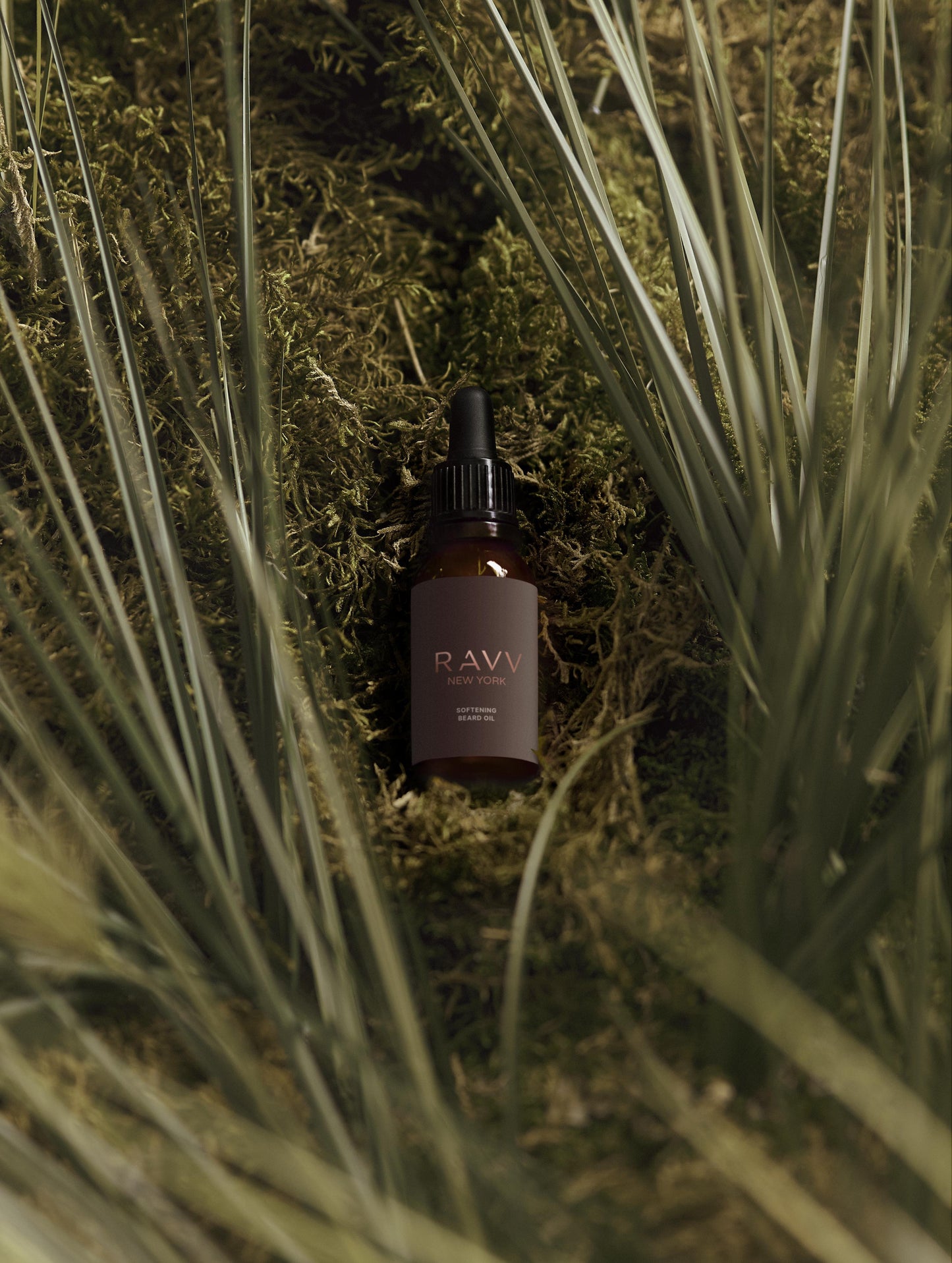 Premium Softening Beard Oil - RAVV