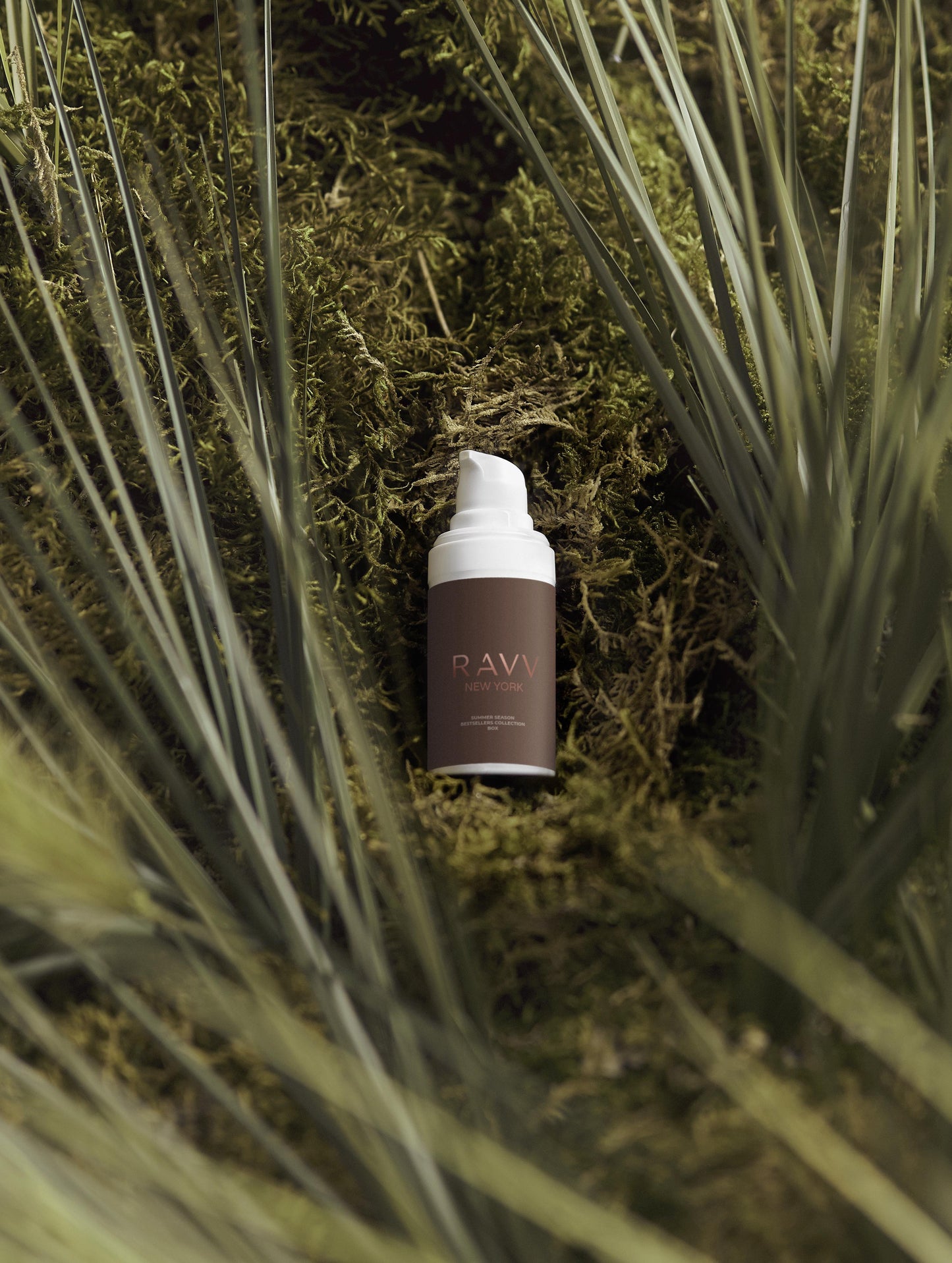 Summer Season Bestsellers Collection Box - RAVV
