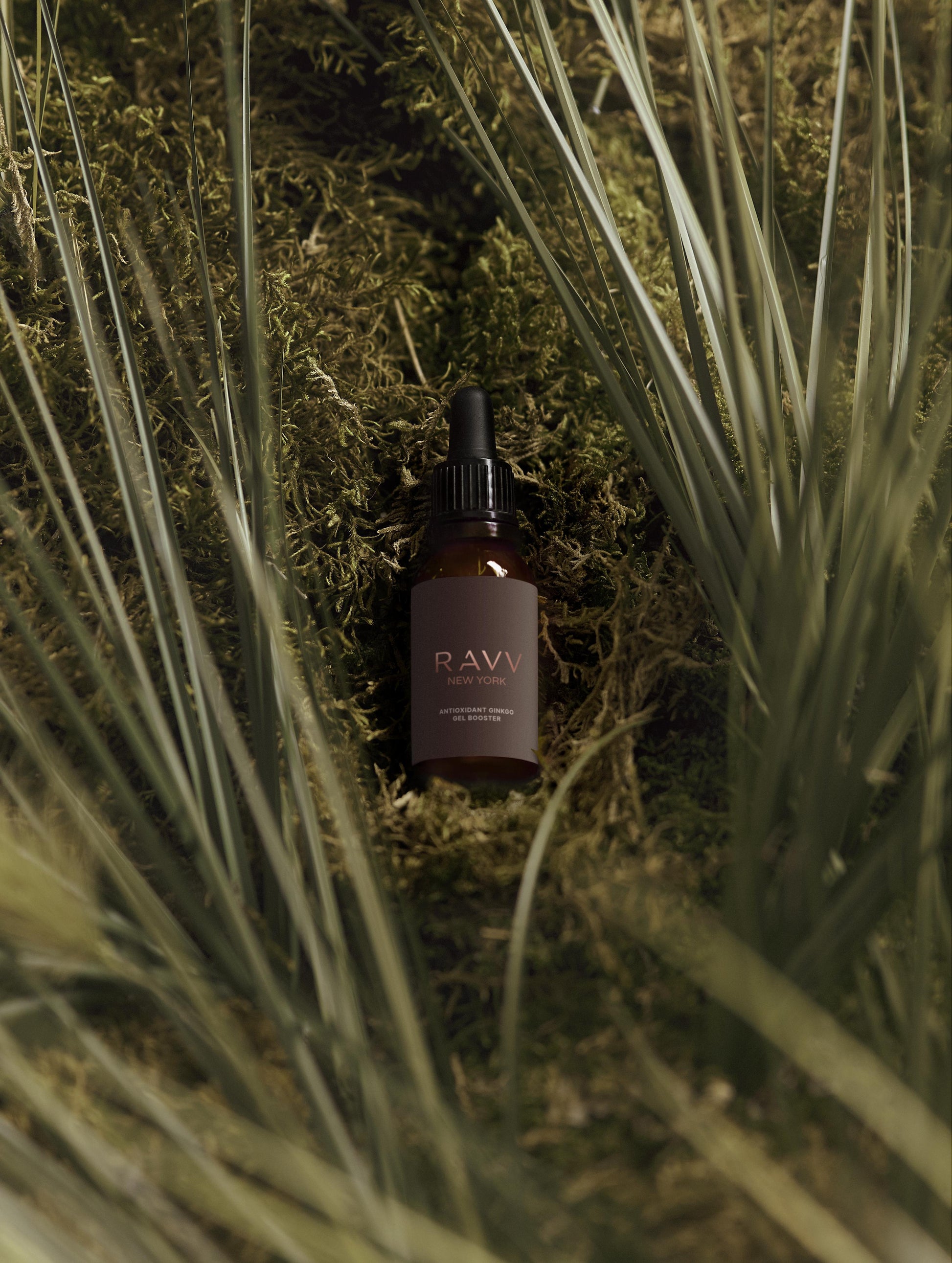 Antioxidant Ginkgo Gel Booster - RAVV